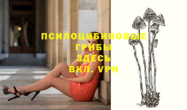 MDMA Premium VHQ Слюдянка