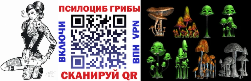 Псилоцибиновые грибы MAGIC MUSHROOMS дарк нет как зайти Коркино