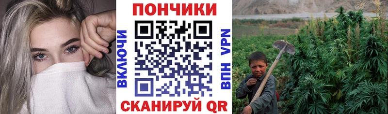 shop Telegram  Коркино  Конопля гибрид  ссылка на мегу ссылка 